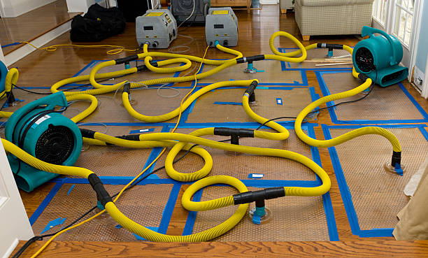Professional Storm Water Damage Restoration technician working in San Manuel, AZ